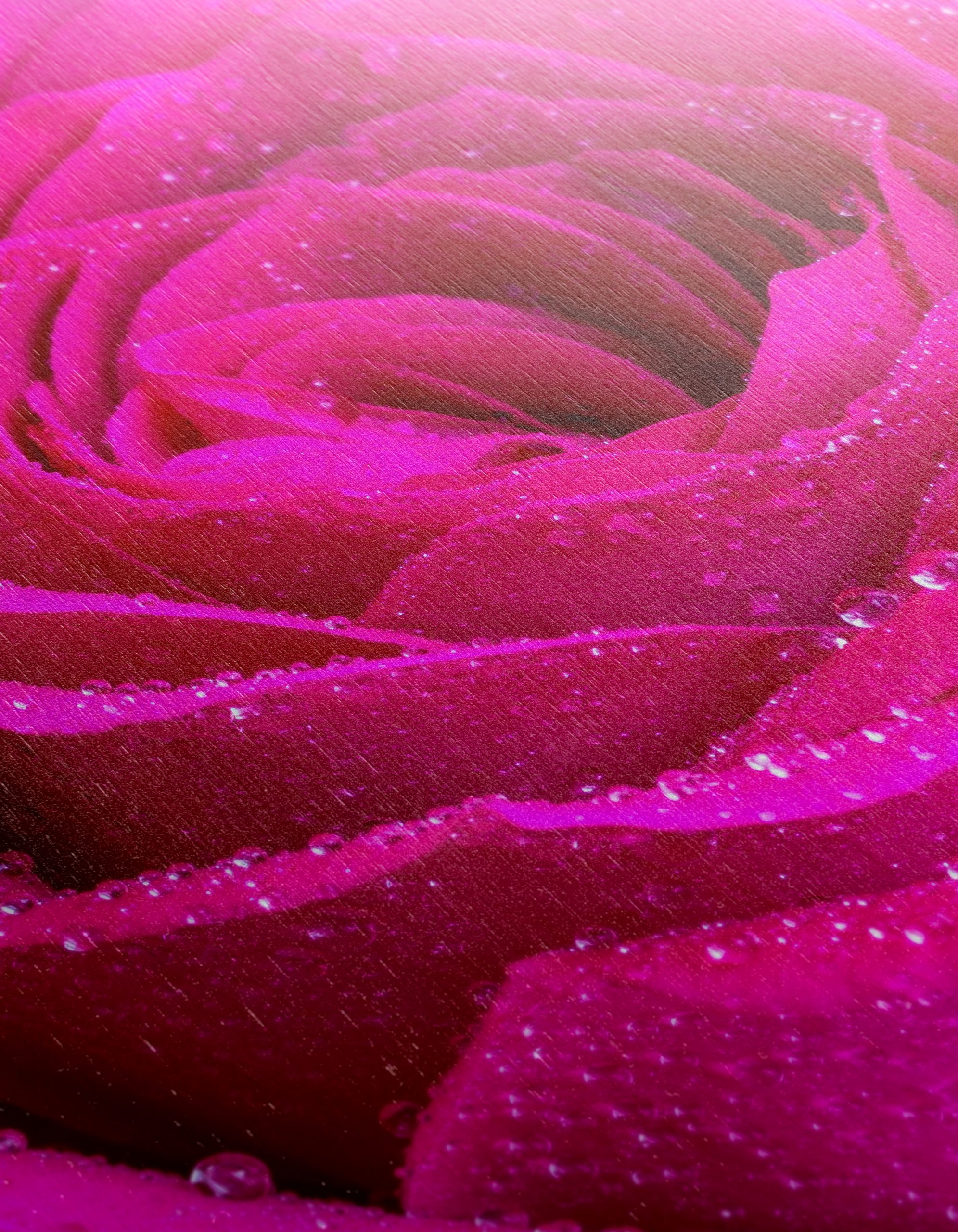 Stunning Pink Rose Flower Art - Image 12