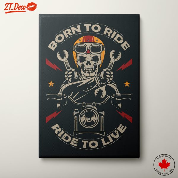 Skull Motorcycle Art for Bikers