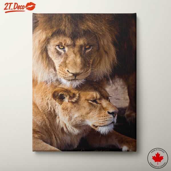 Majestic Lions in the Wild