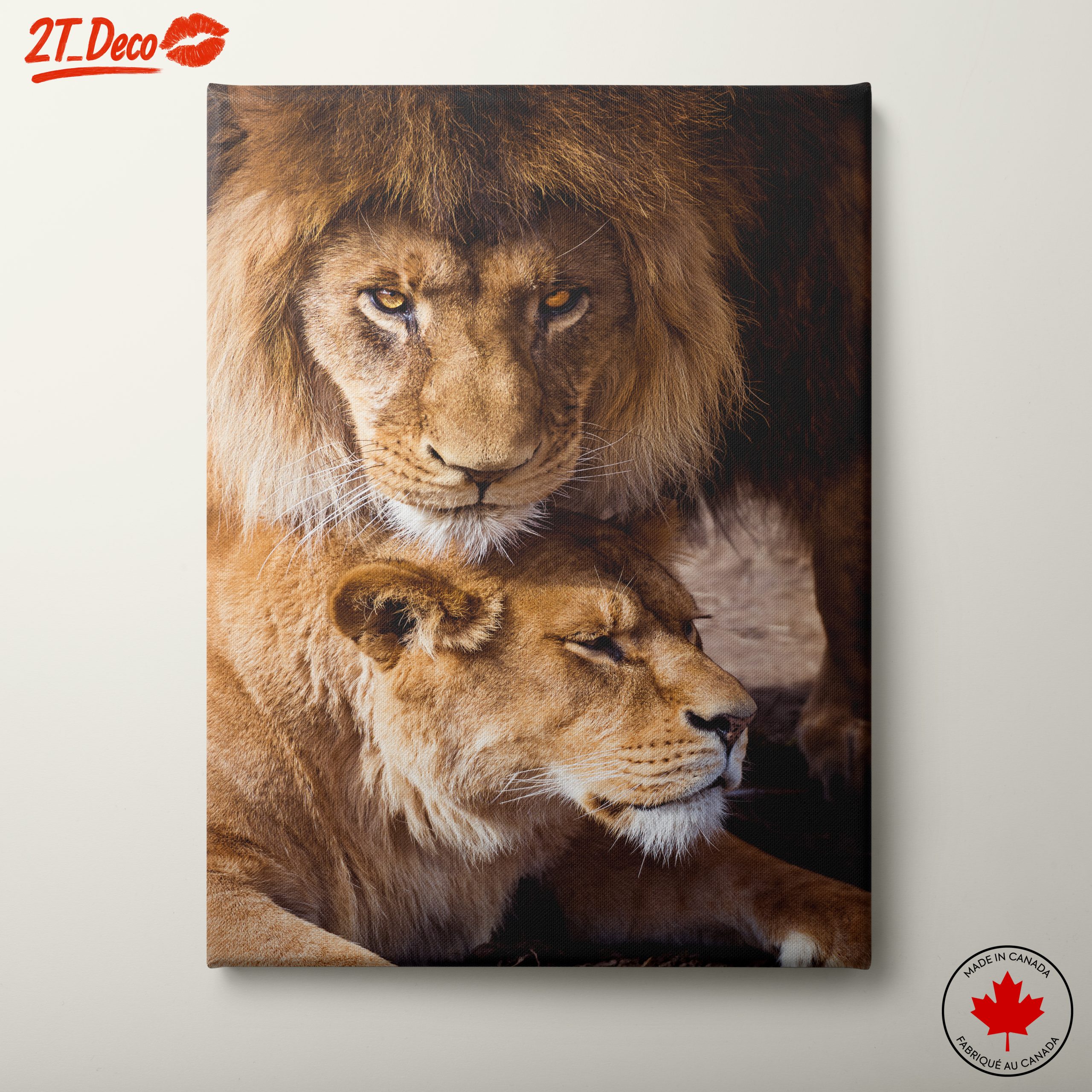 Majestic Lions in the Wild