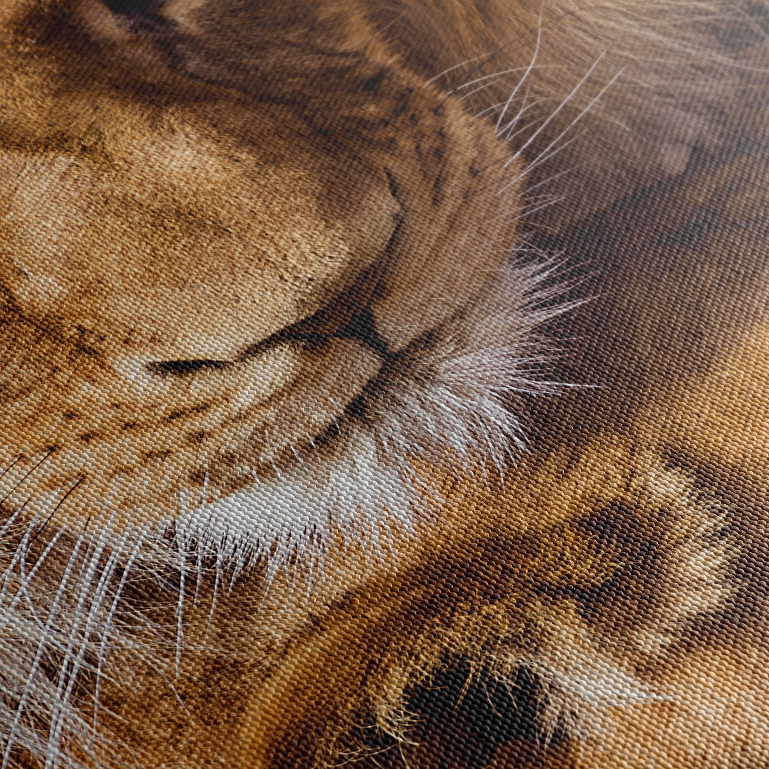 Majestic Lions in the Wild - Image 5