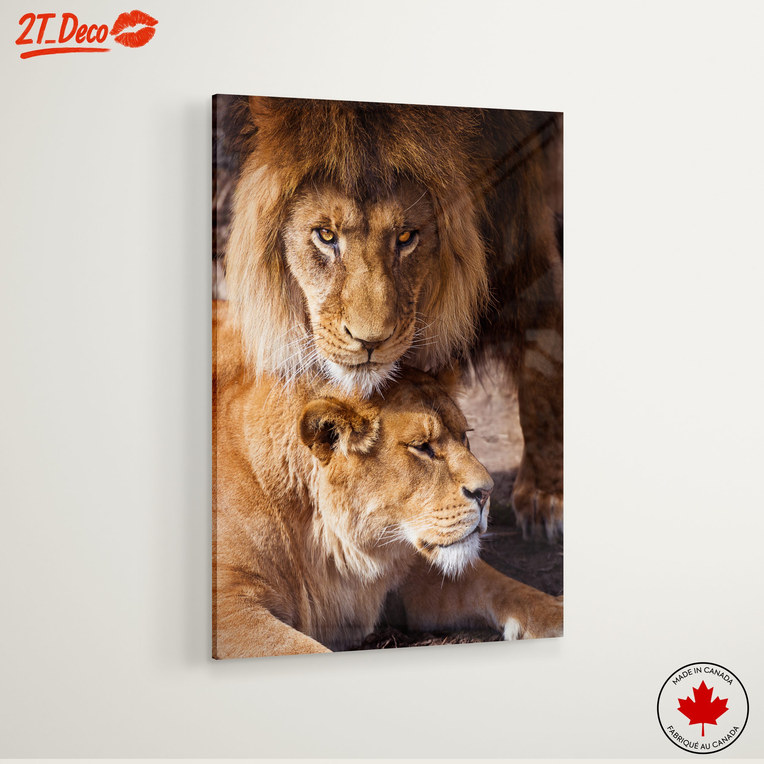Majestic Lions in the Wild - Image 6