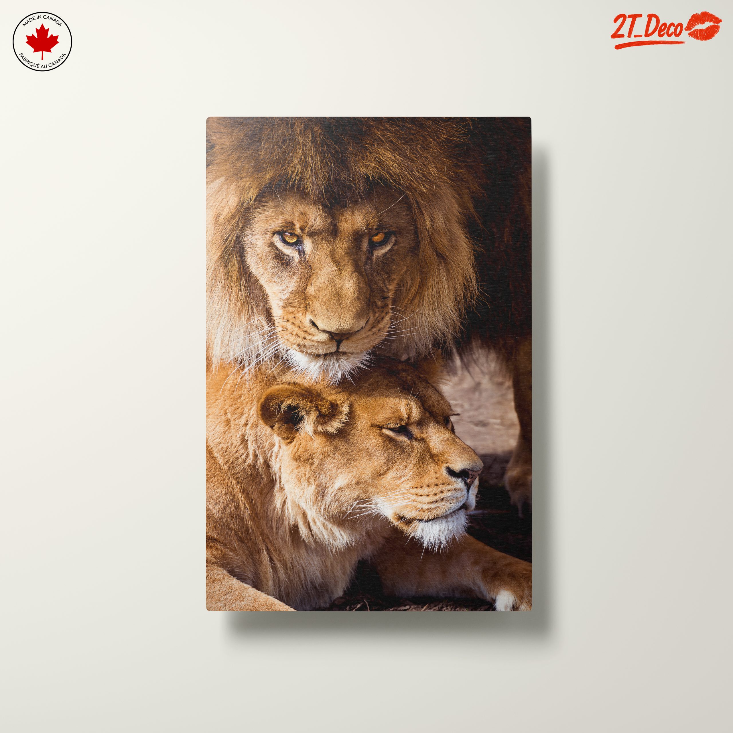Majestic Lions in the Wild - Image 10