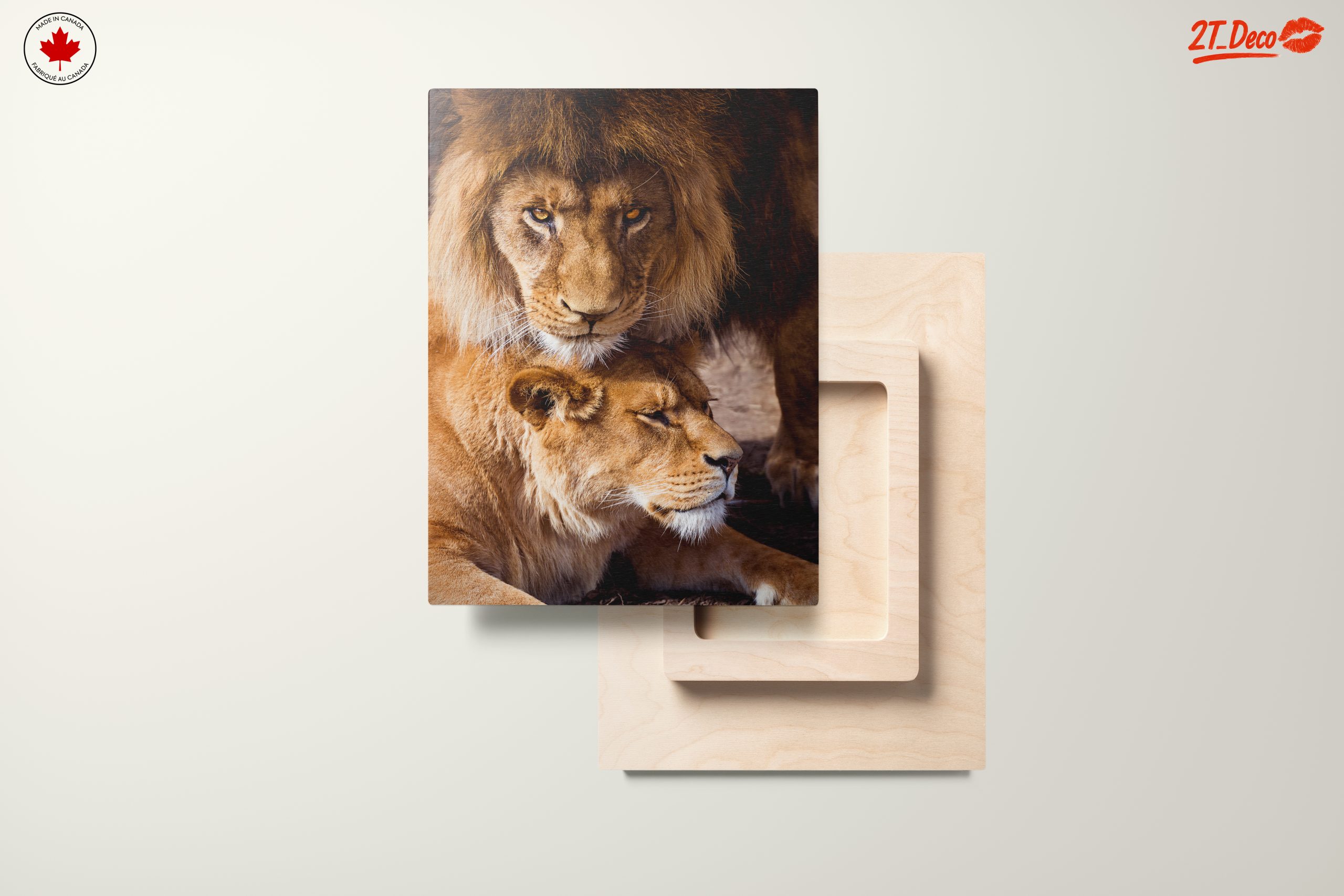 Majestic Lions in the Wild - Image 11