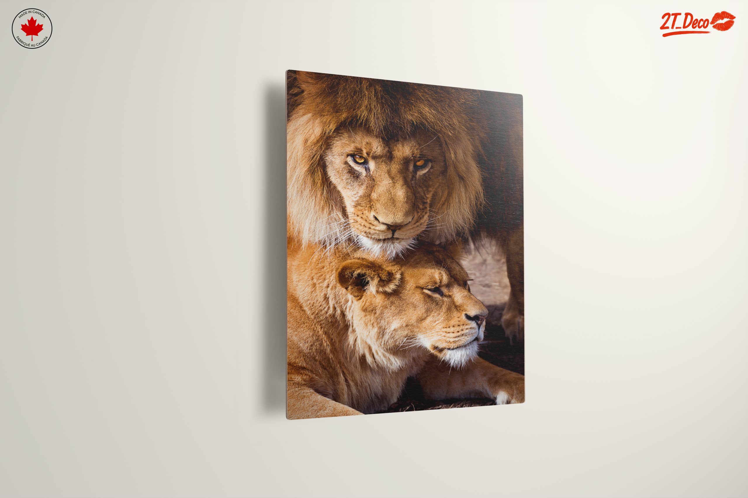 Majestic Lions in the Wild - Image 13
