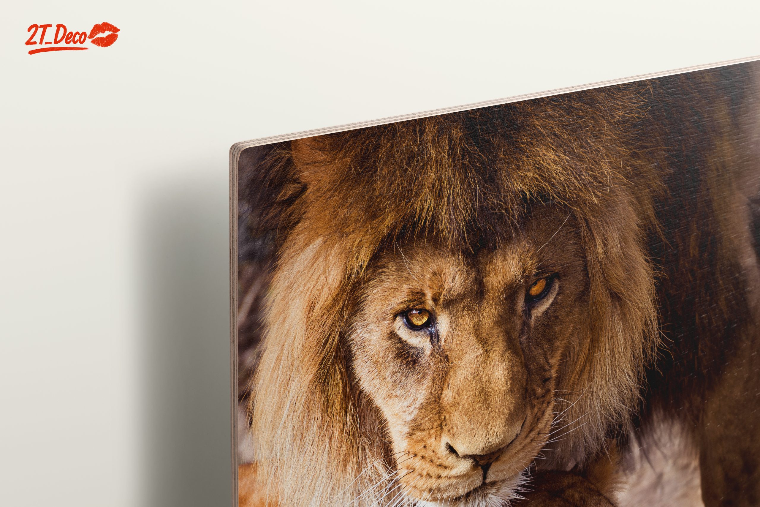 Majestic Lions in the Wild - Image 15