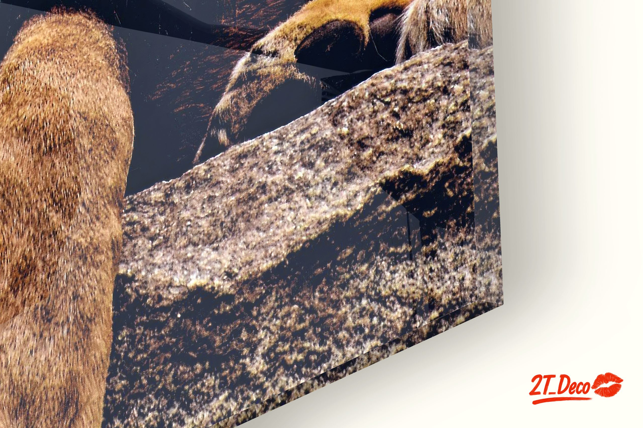 Majestic Lion Roaring Wall Art - Image 9