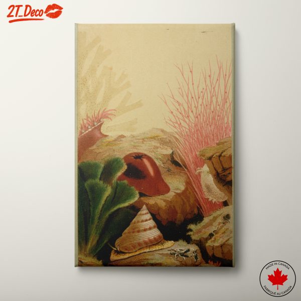 Stylized Marine Flora Artwork