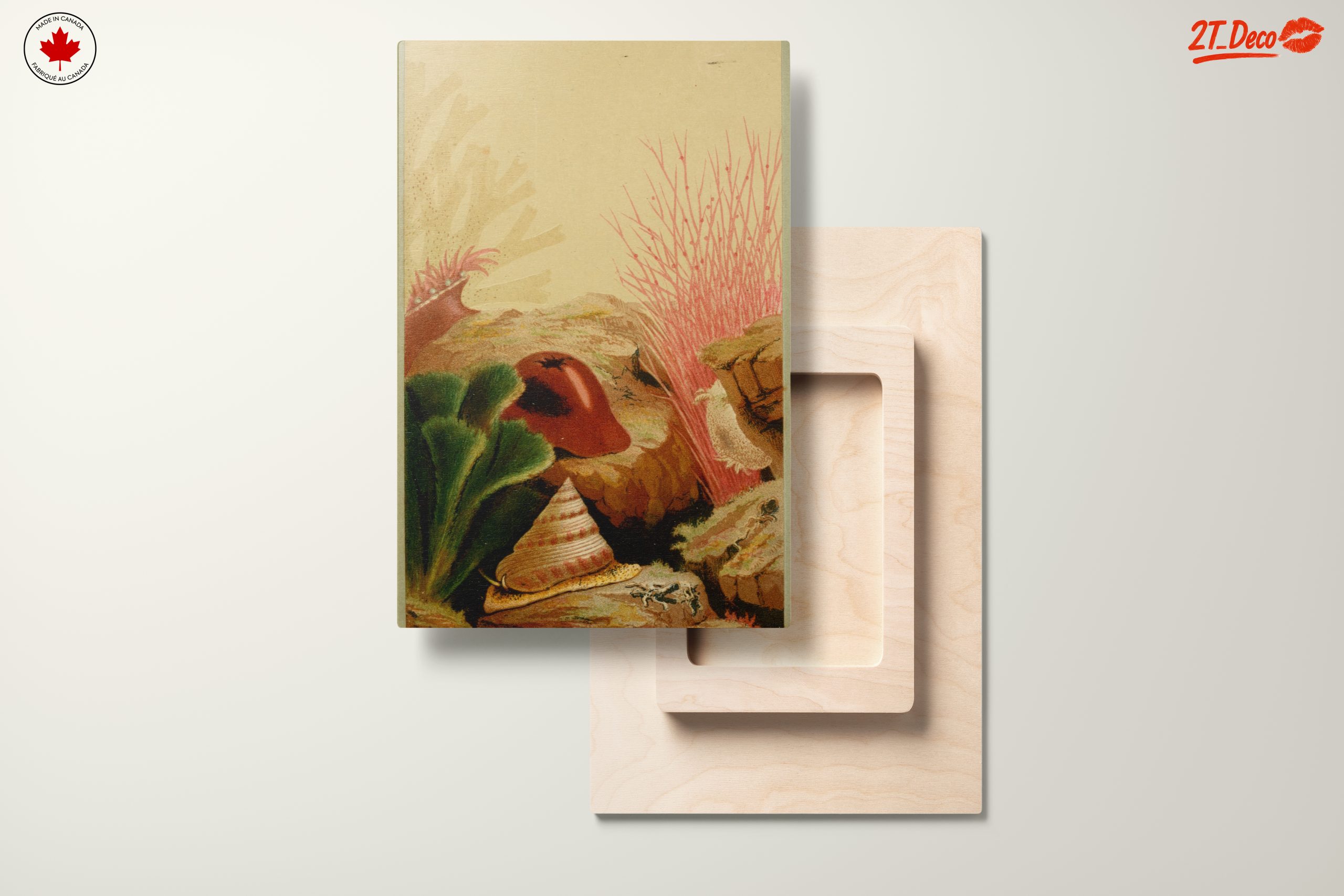 Stylized Marine Flora Artwork - Image 11