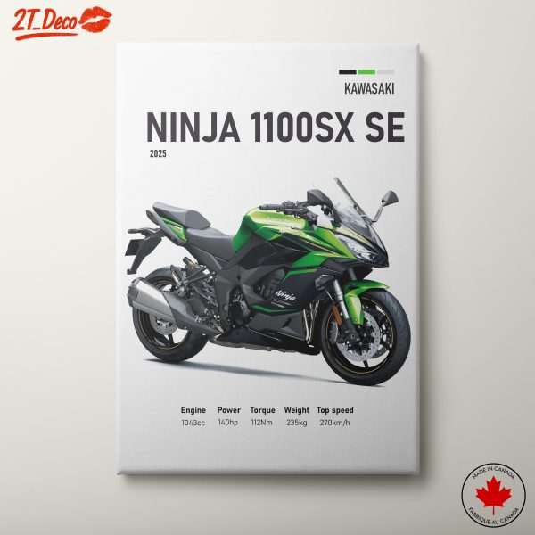 Kawasaki Ninja 1100SX SE Motorcycle Art