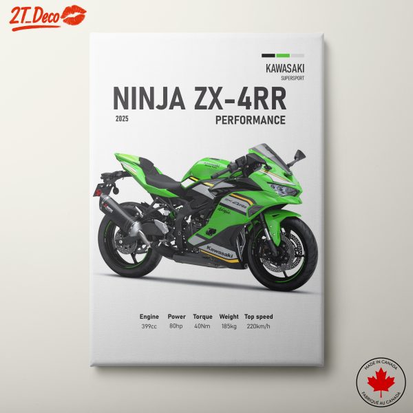 Kawasaki Ninja ZX-4RR Motorcycle Art 2