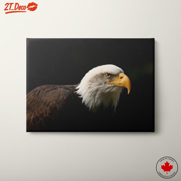 Bald Eagle Portrait Wall Art