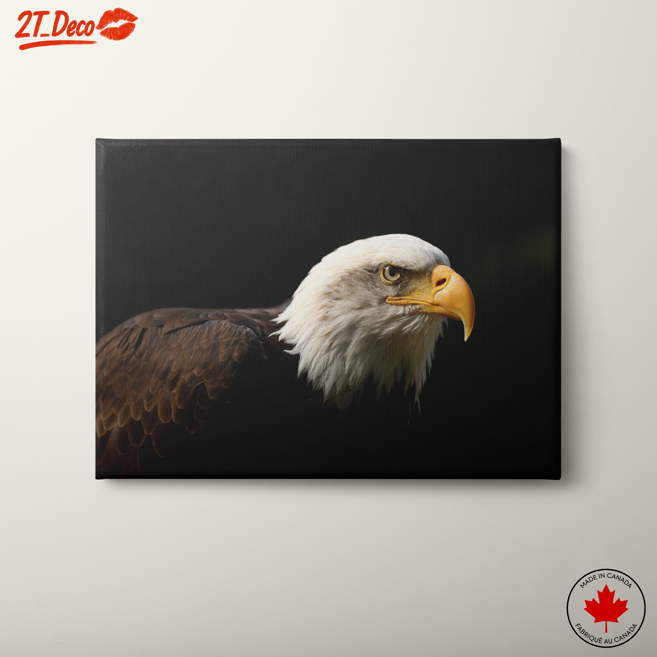 Bald Eagle Portrait Wall Art
