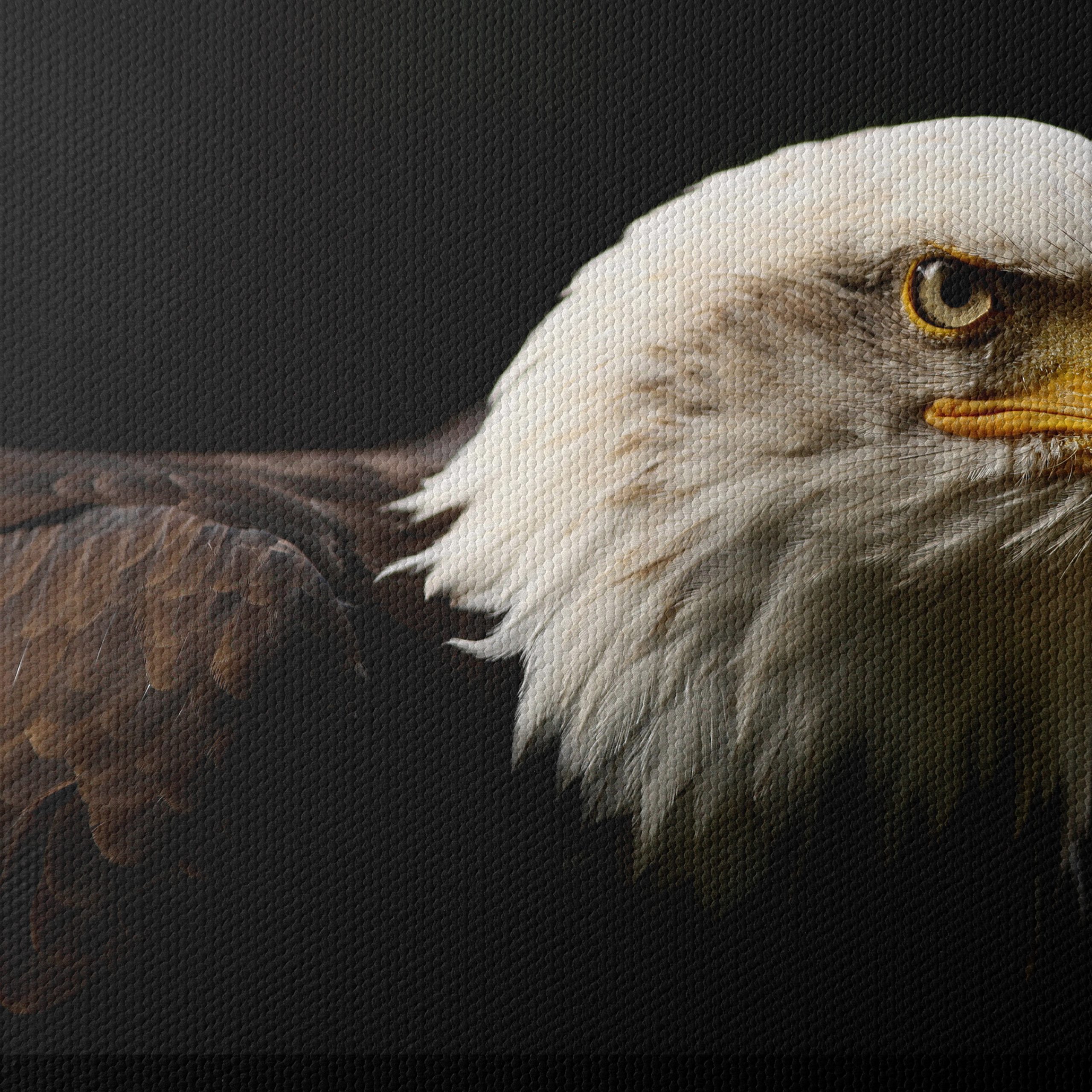 Bald Eagle Portrait Wall Art - Image 4