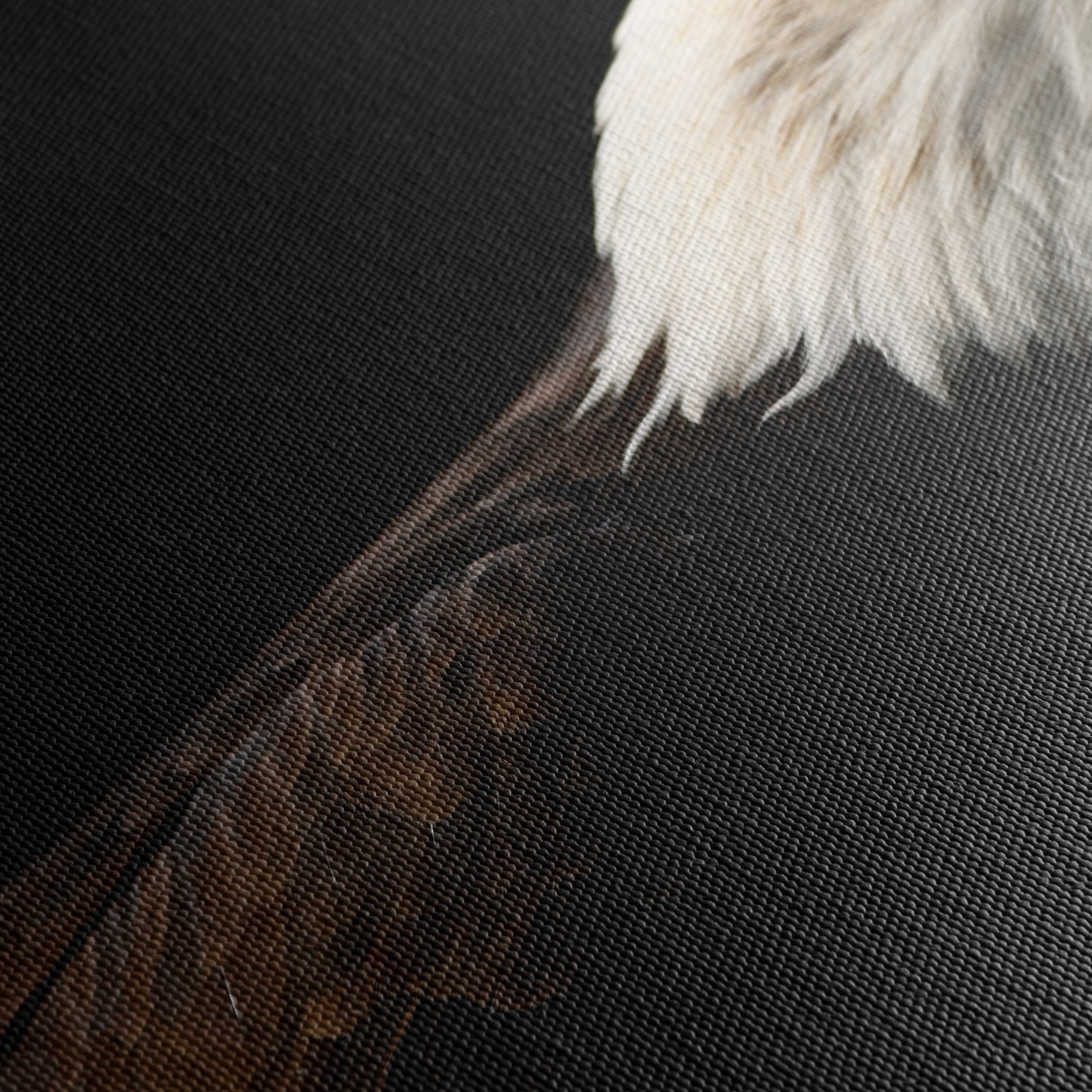 Bald Eagle Portrait Wall Art - Image 5