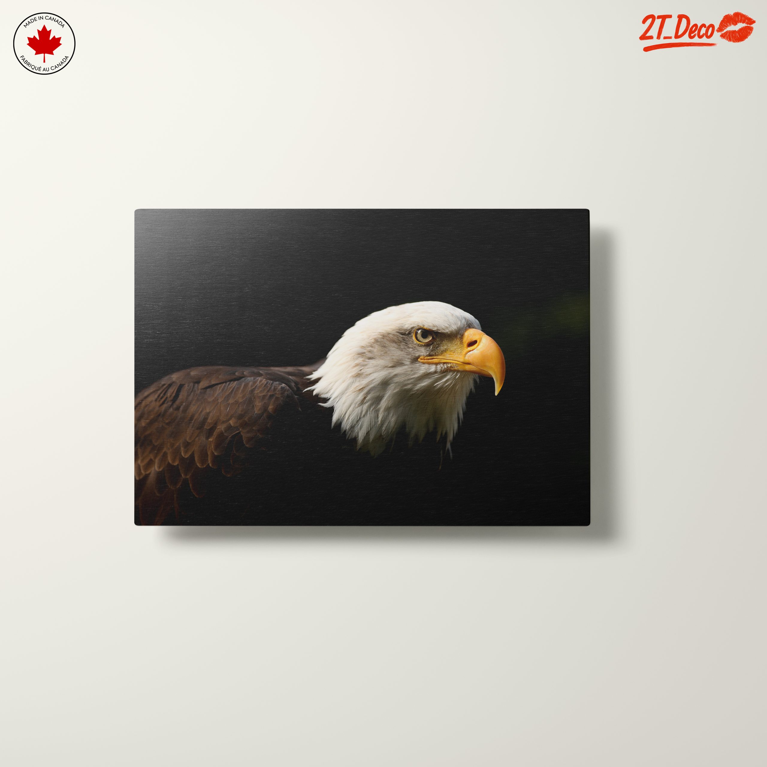 Bald Eagle Portrait Wall Art - Image 10