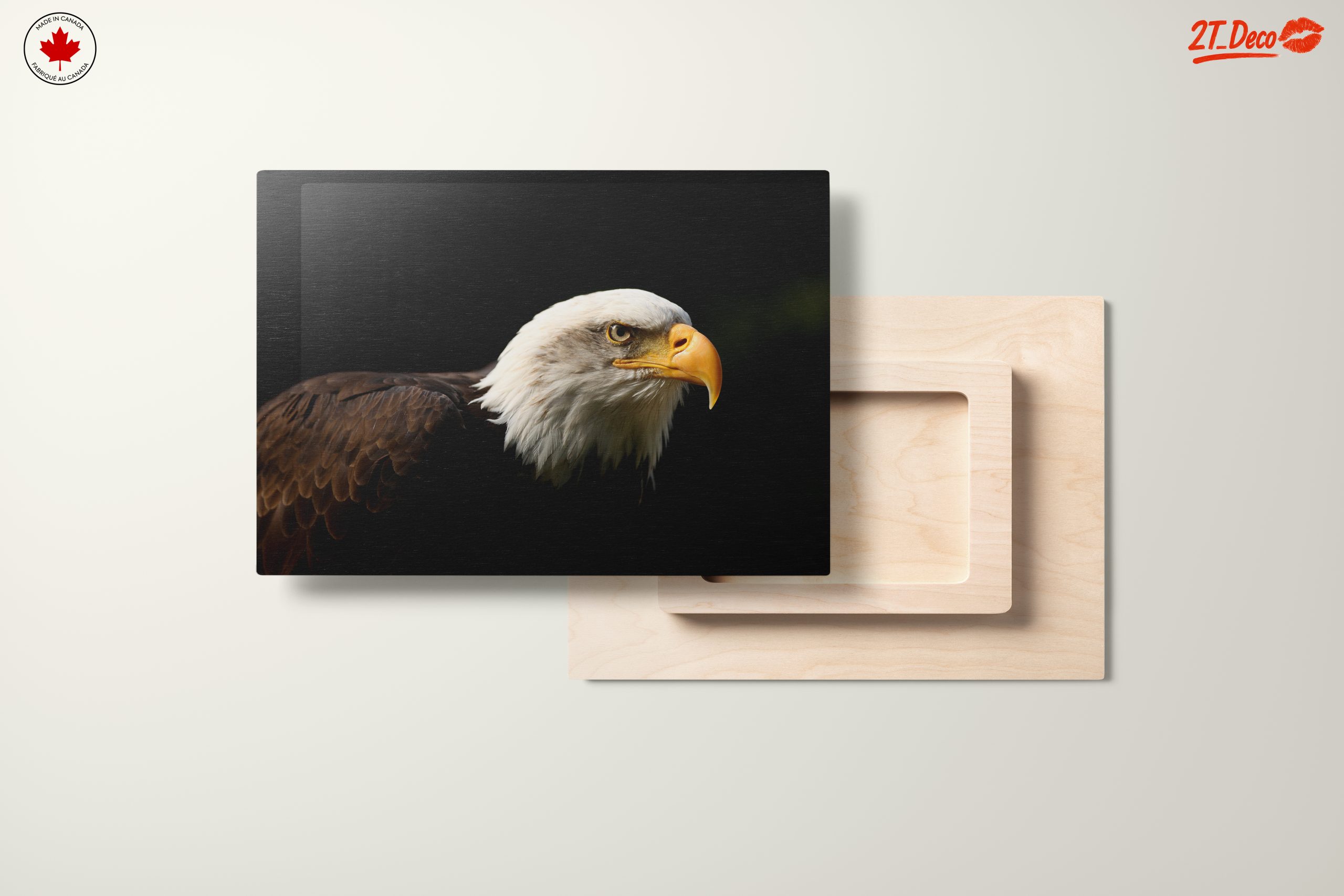 Bald Eagle Portrait Wall Art - Image 11