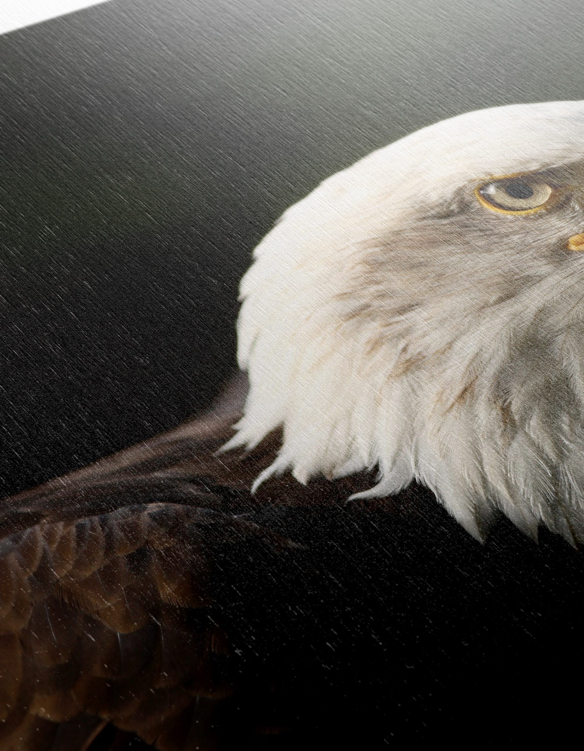 Bald Eagle Portrait Wall Art - Image 12