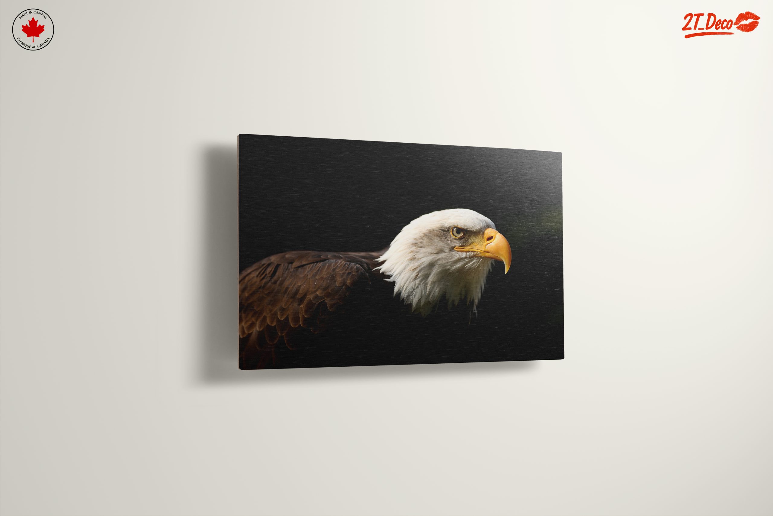 Bald Eagle Portrait Wall Art - Image 13