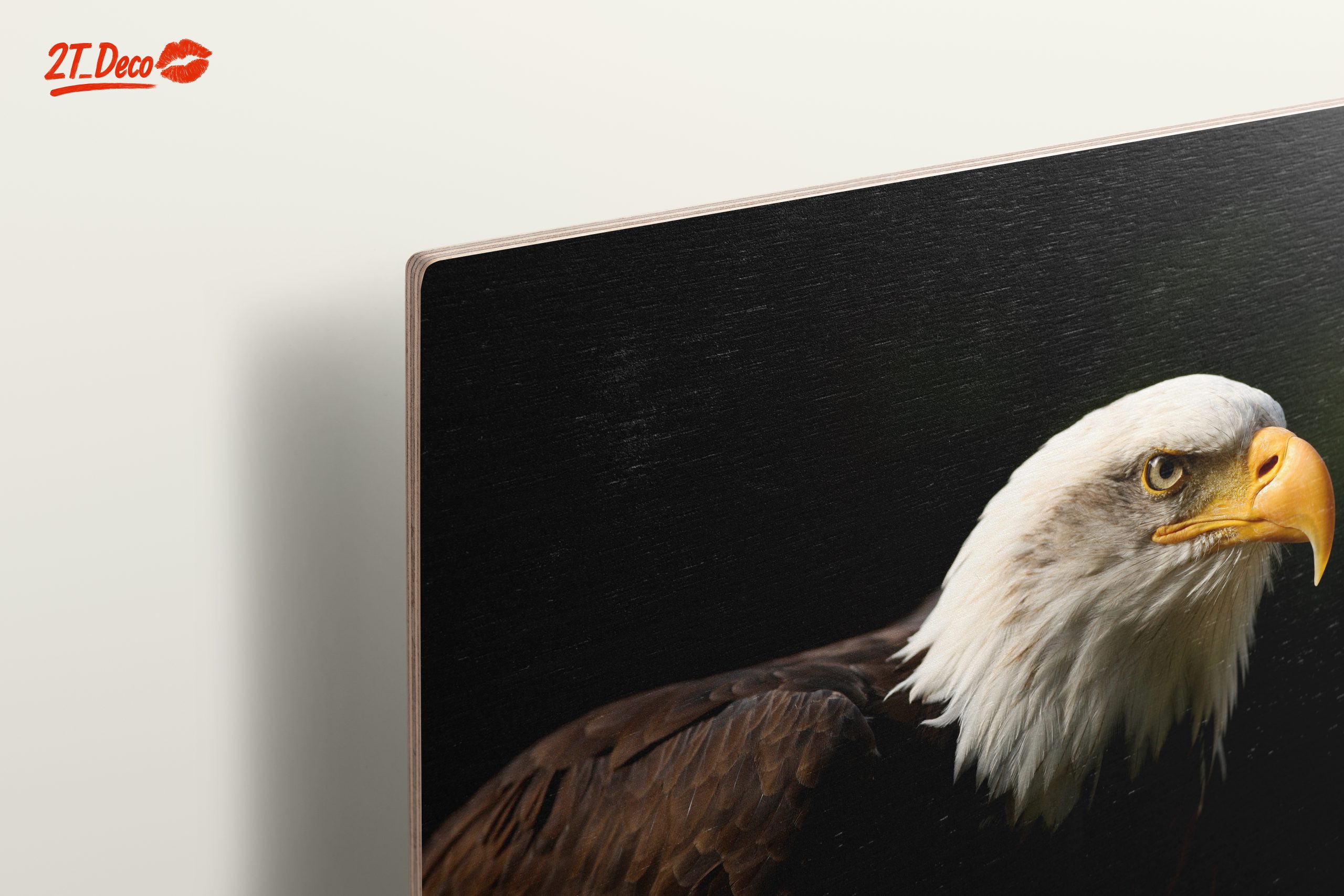 Bald Eagle Portrait Wall Art - Image 15