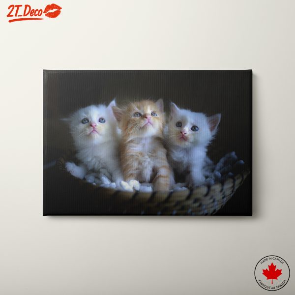 Adorable Kittens in a Basket Wall Art