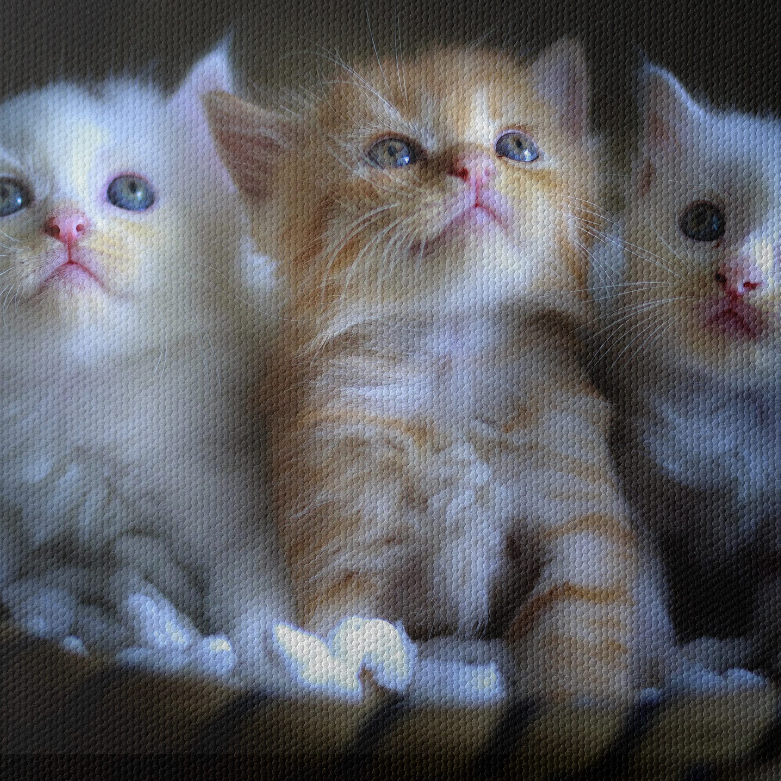 Adorable Kittens in a Basket Wall Art - Image 4