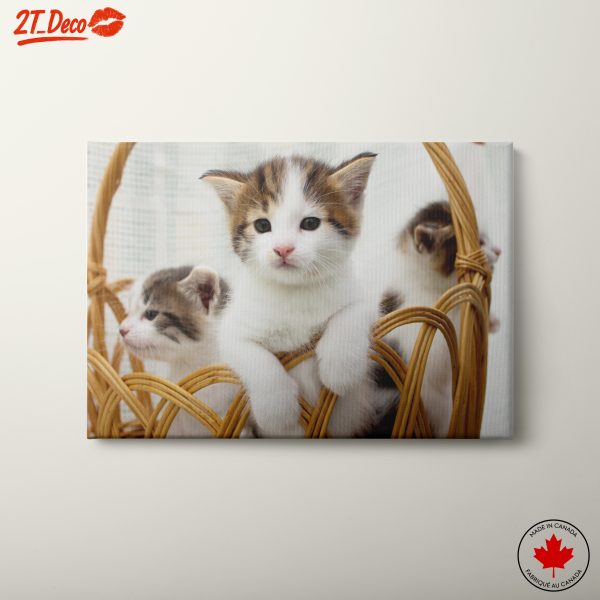 Cute Cats in a Wicker Basket