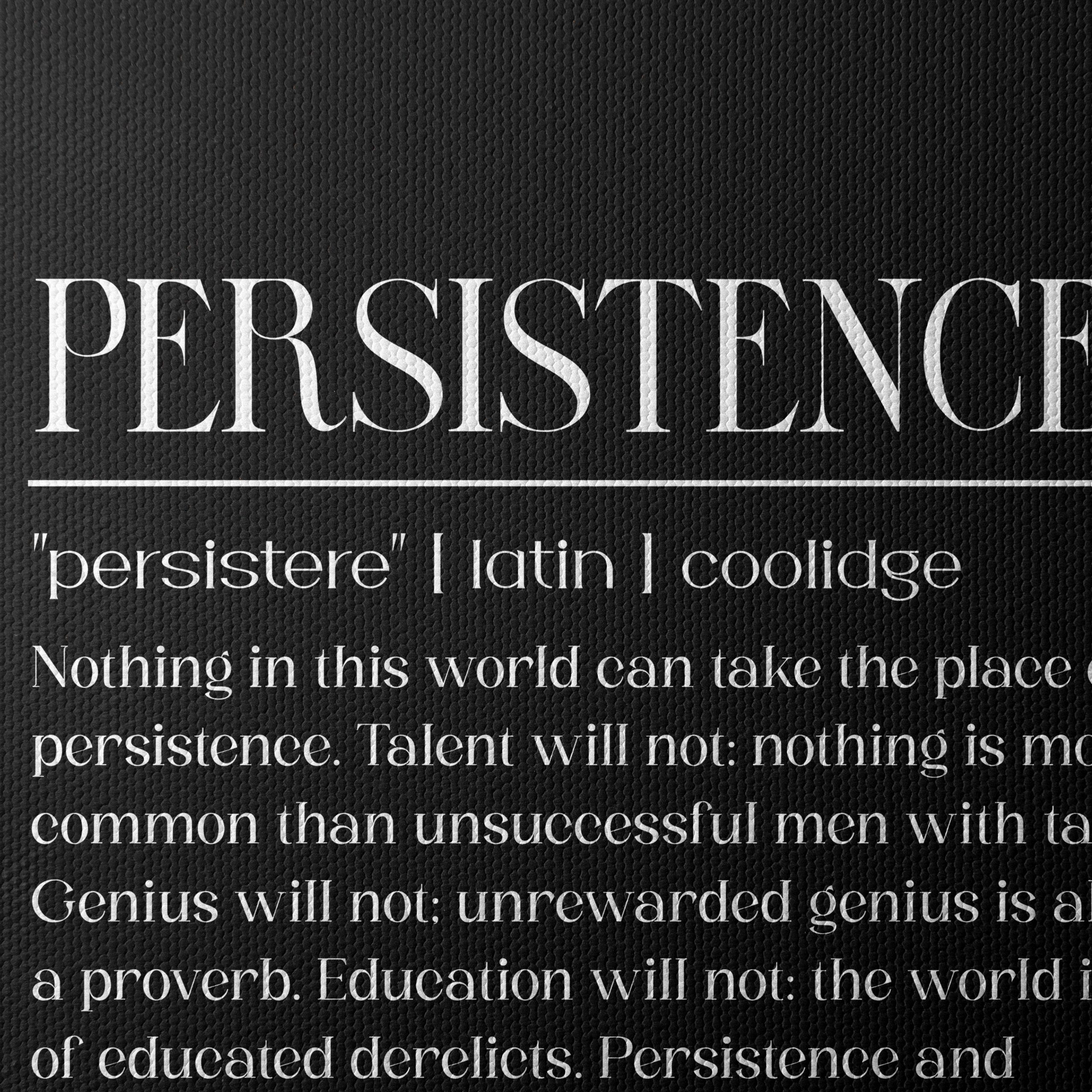 Persistence Inspirational Quote Art - Image 4