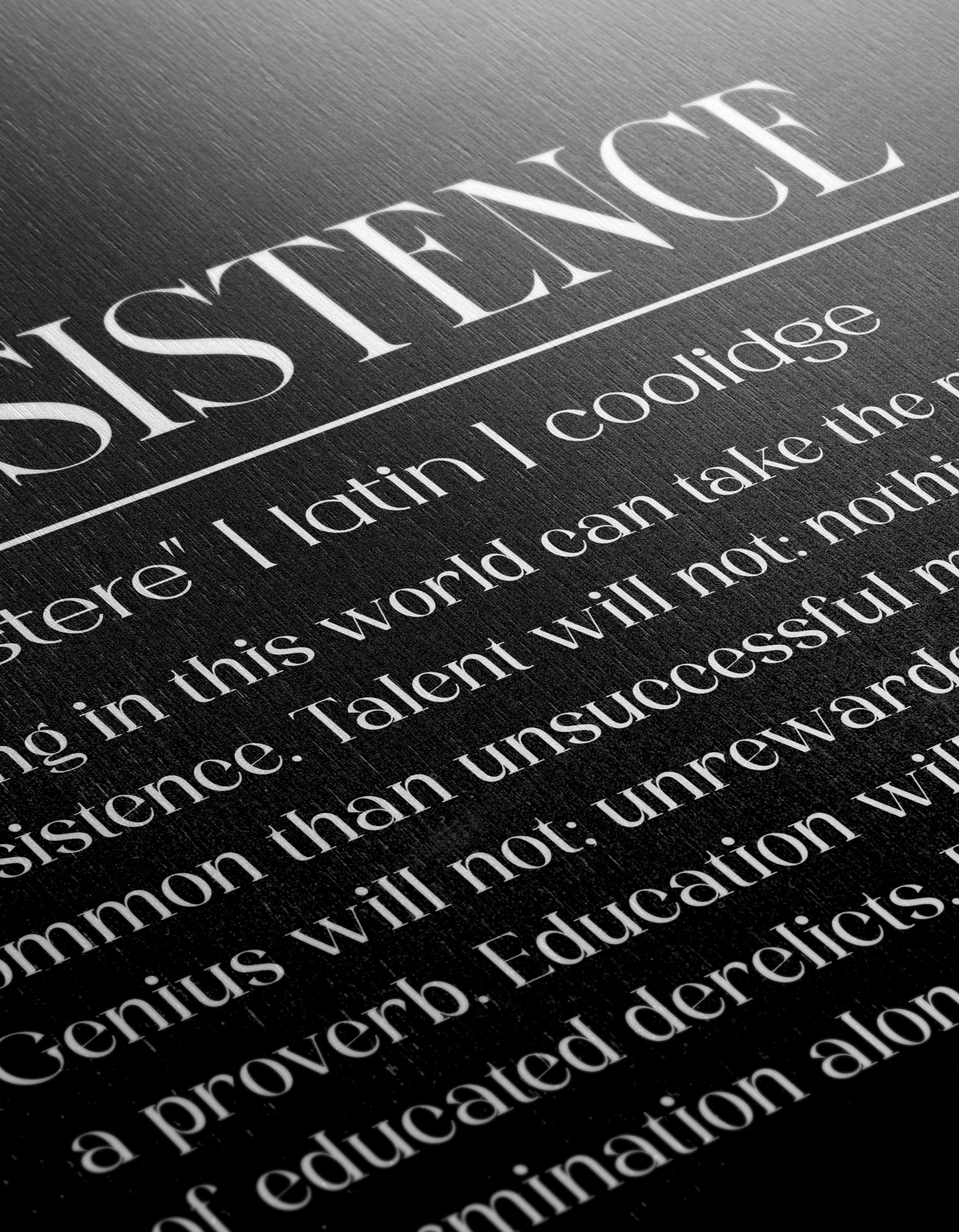 Persistence Inspirational Quote Art - Image 12