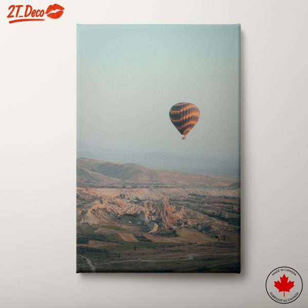 Hot Air Balloon Above Serene Landscape