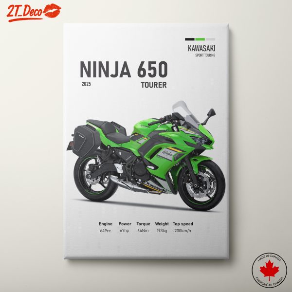 Kawasaki Ninja 650 Motorcycle Artwork