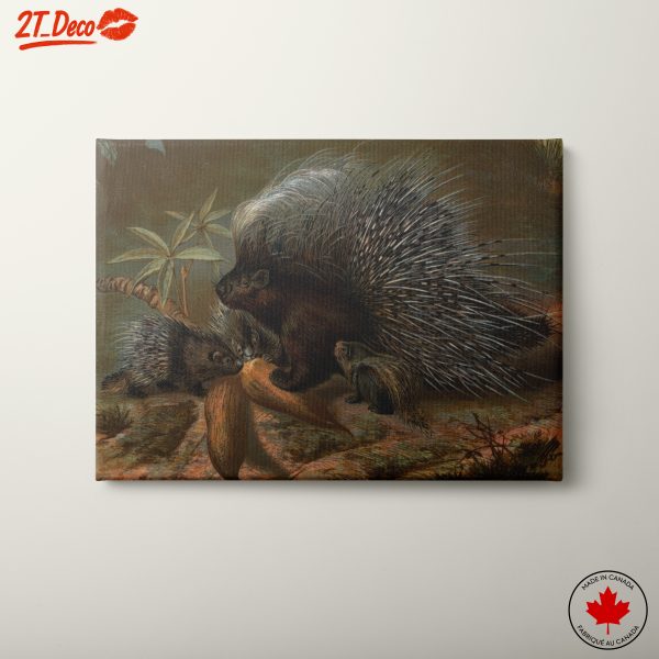 Porcupines in Natural Habitat Art