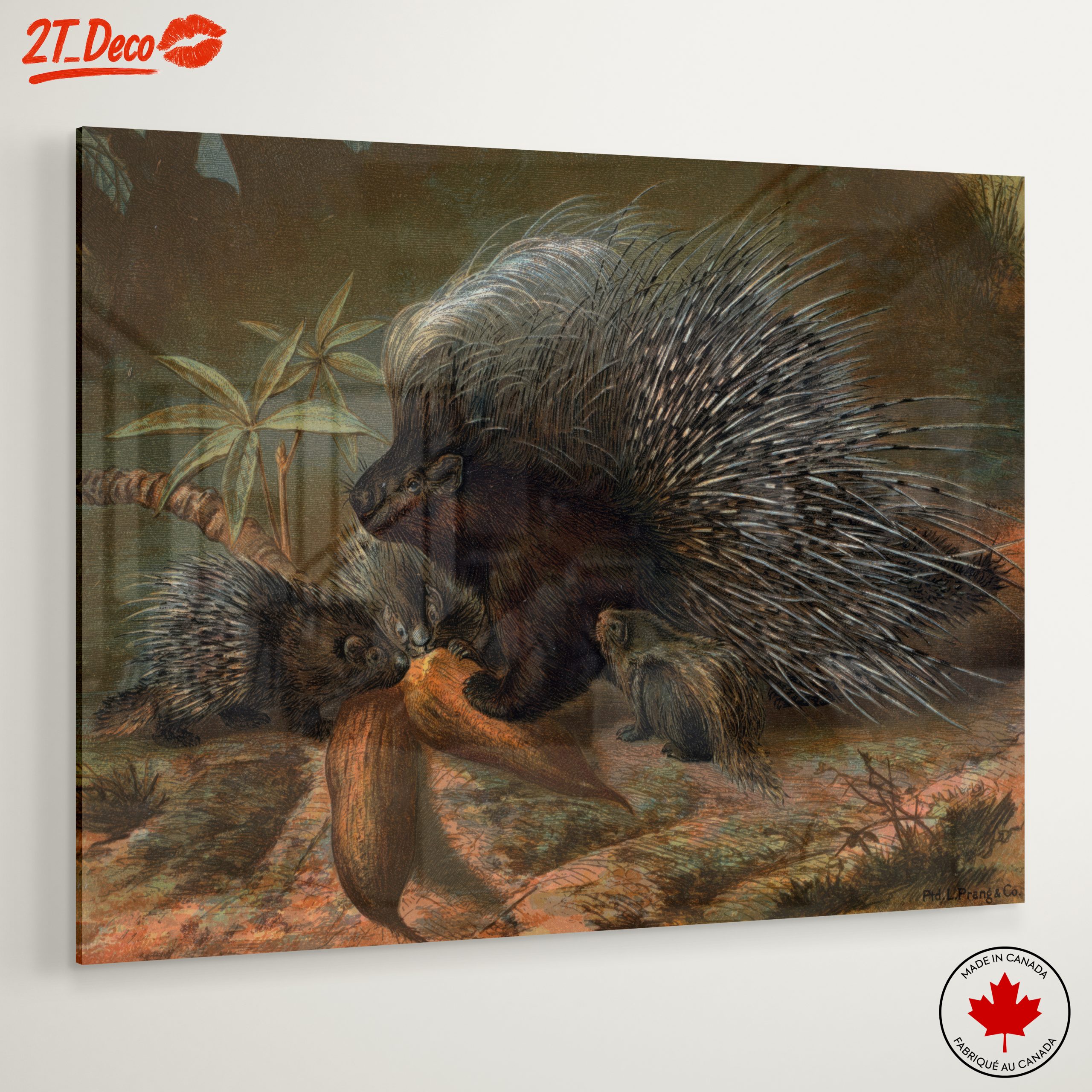 Porcupines in Natural Habitat Art - Image 6