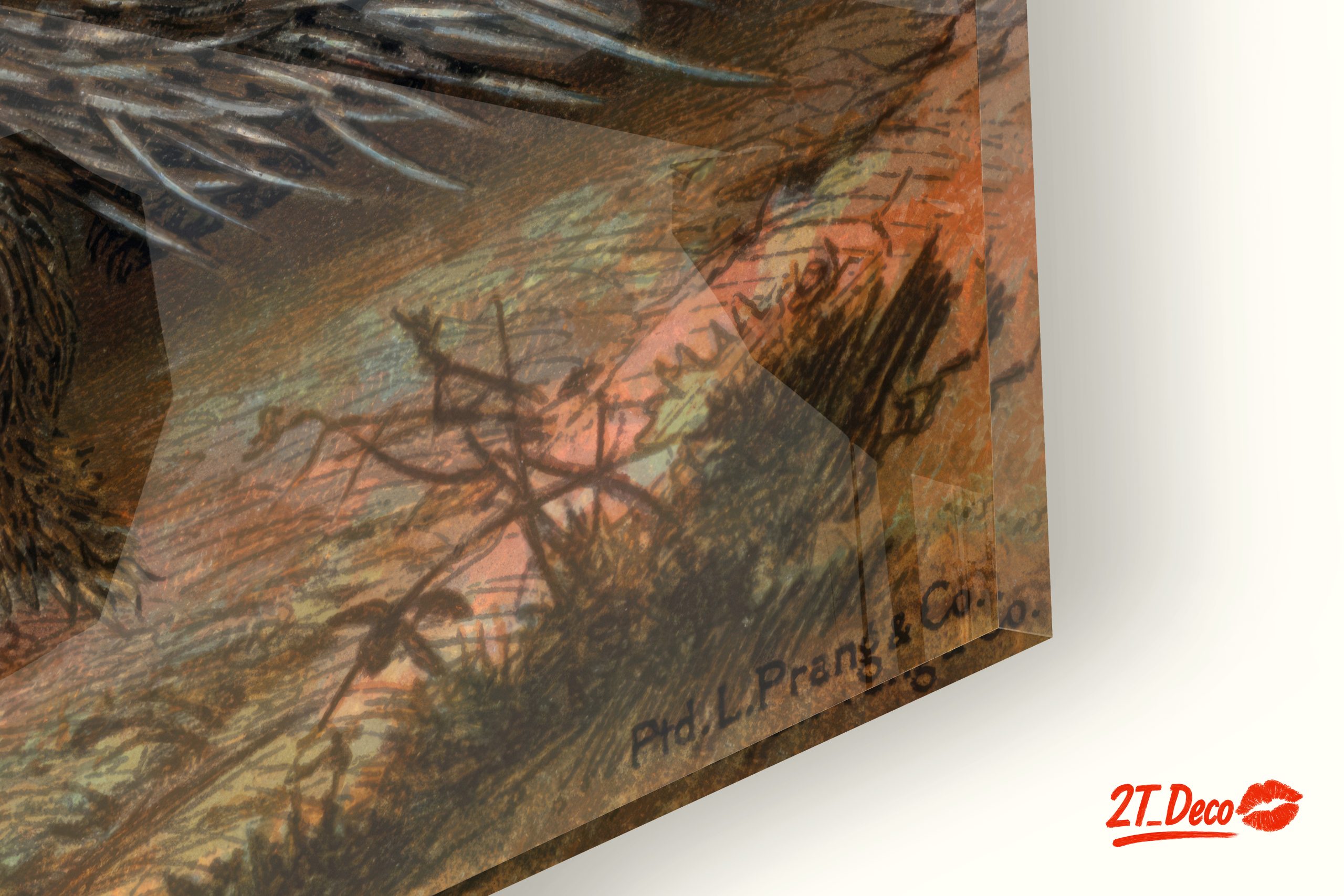 Porcupines in Natural Habitat Art - Image 9