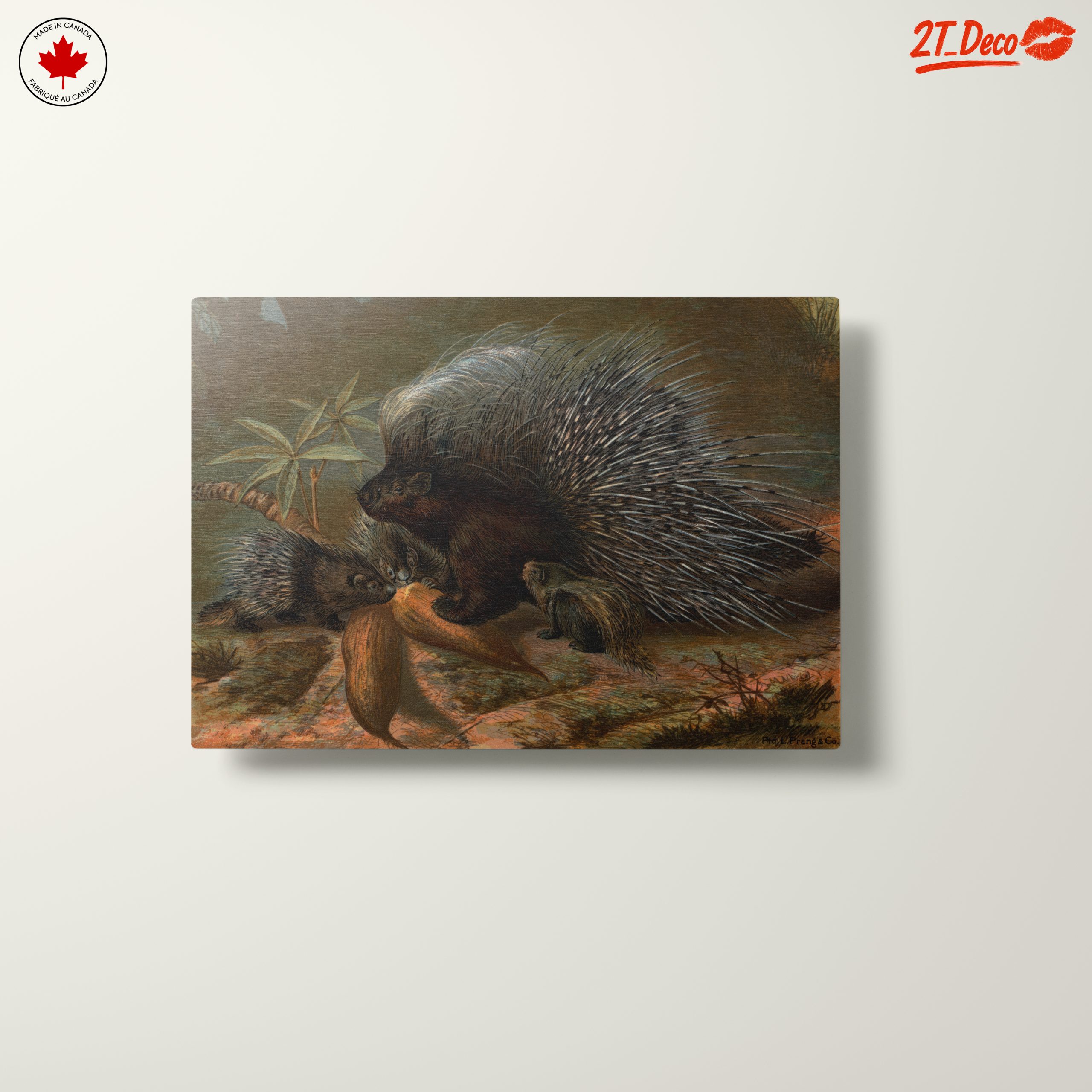 Porcupines in Natural Habitat Art - Image 10