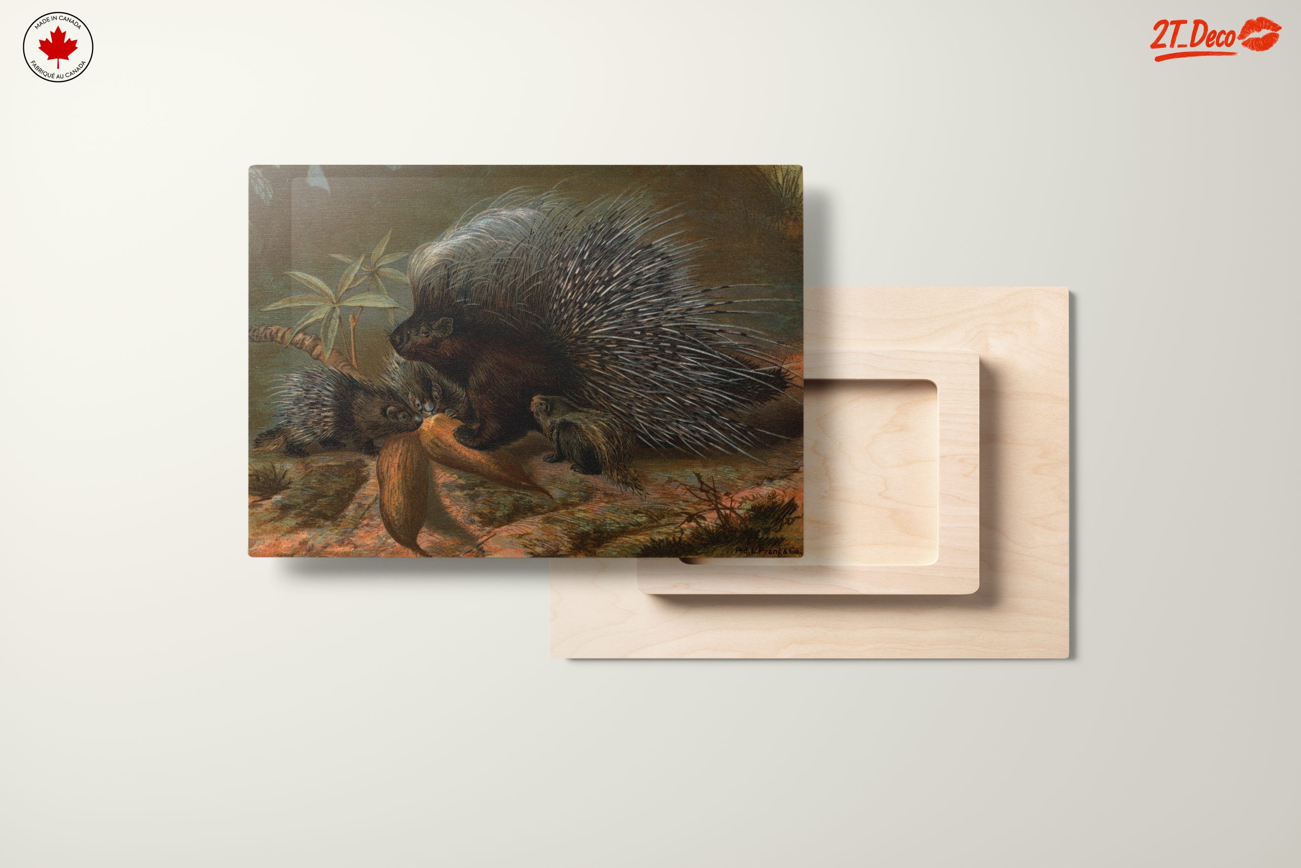 Porcupines in Natural Habitat Art - Image 11