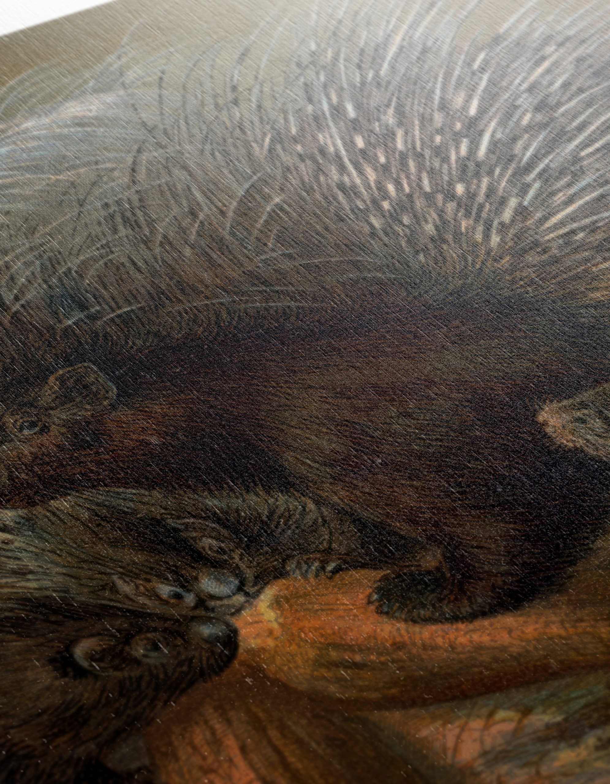 Porcupines in Natural Habitat Art - Image 12