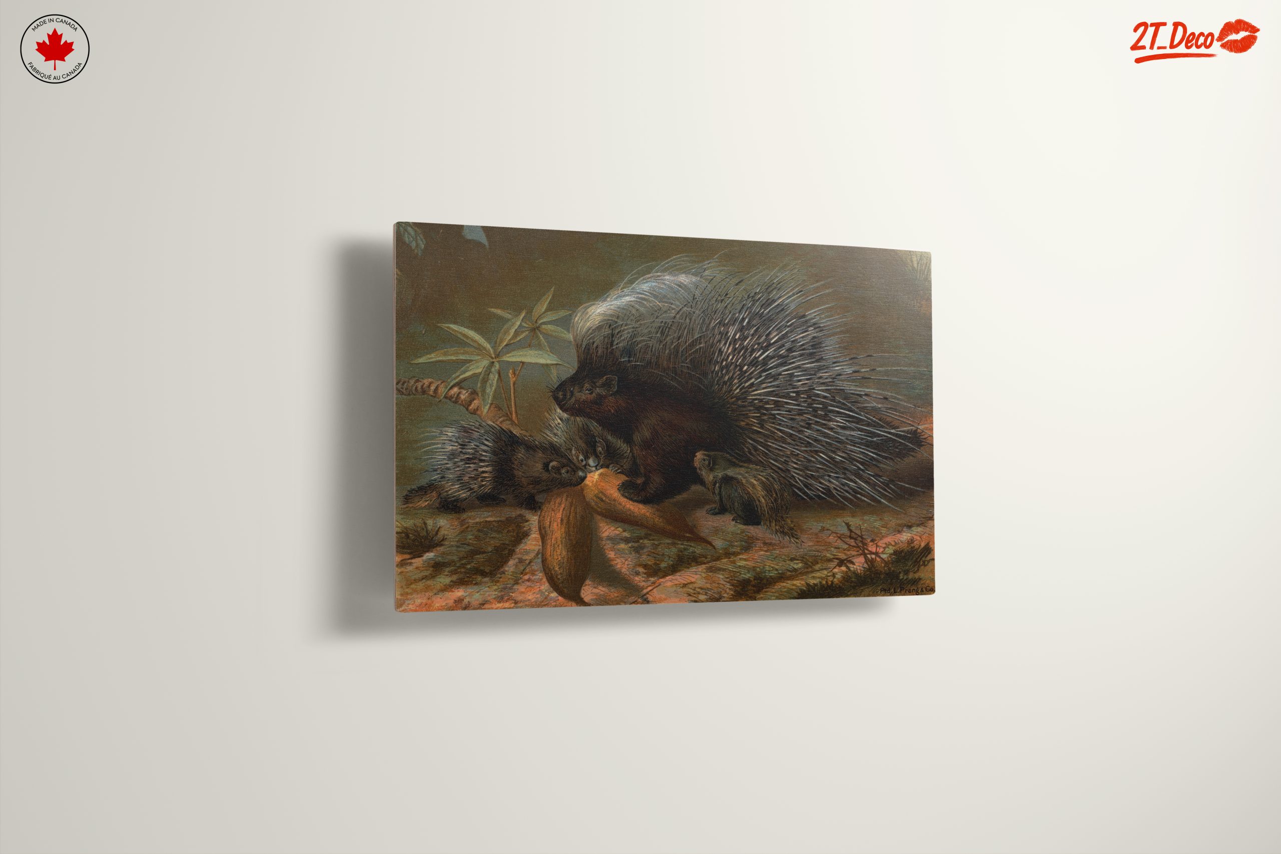 Porcupines in Natural Habitat Art - Image 13