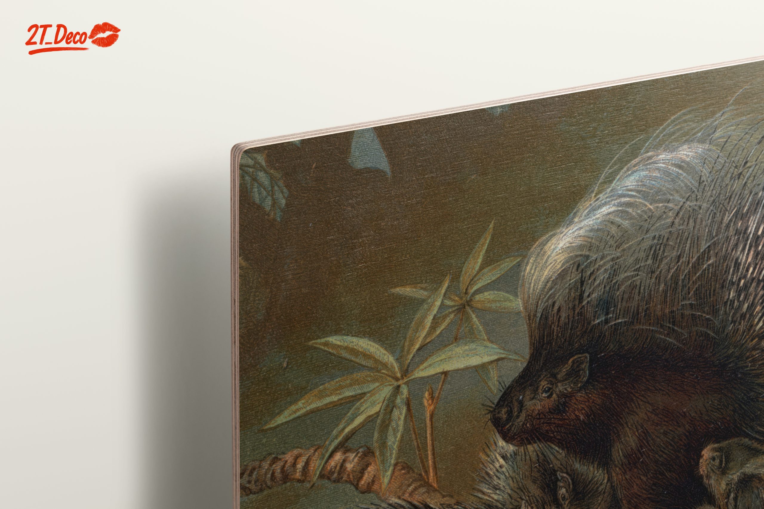 Porcupines in Natural Habitat Art - Image 15