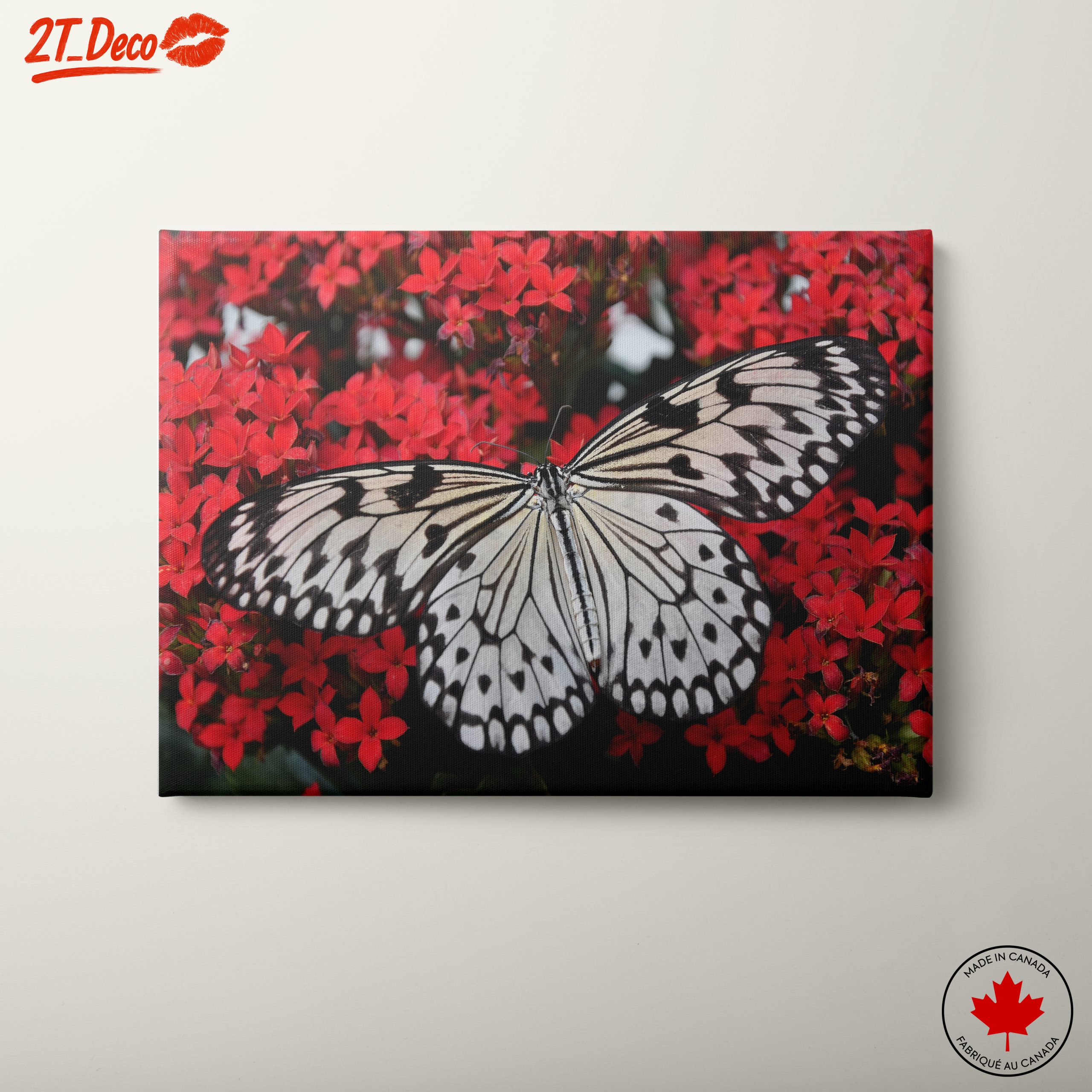 Stunning Butterfly on Vibrant Red Flowers