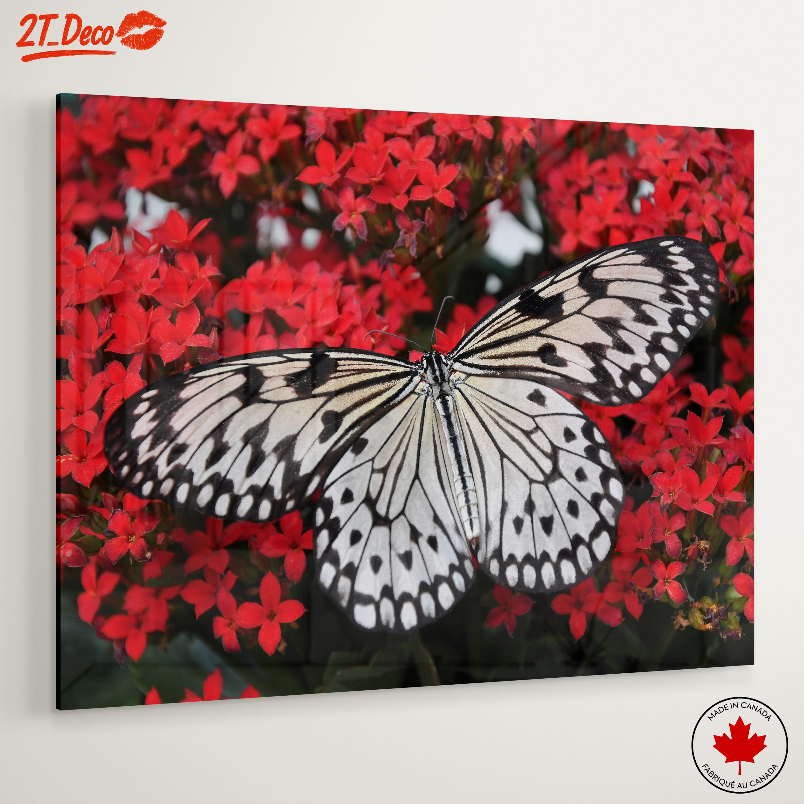 Stunning Butterfly on Vibrant Red Flowers - Image 6