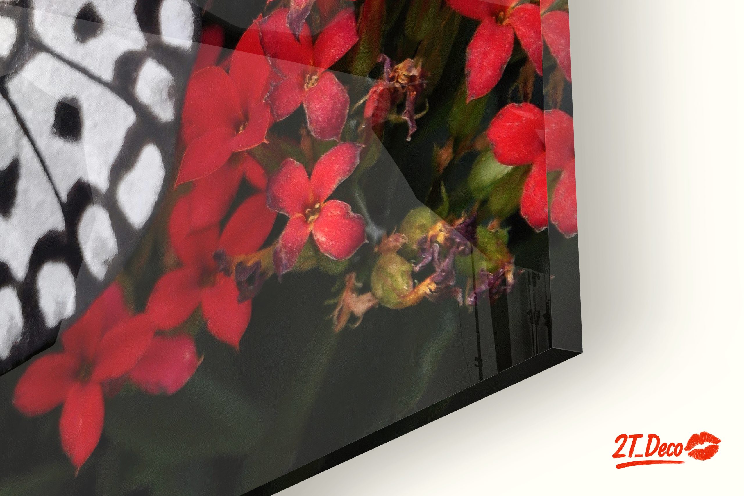 Stunning Butterfly on Vibrant Red Flowers - Image 9