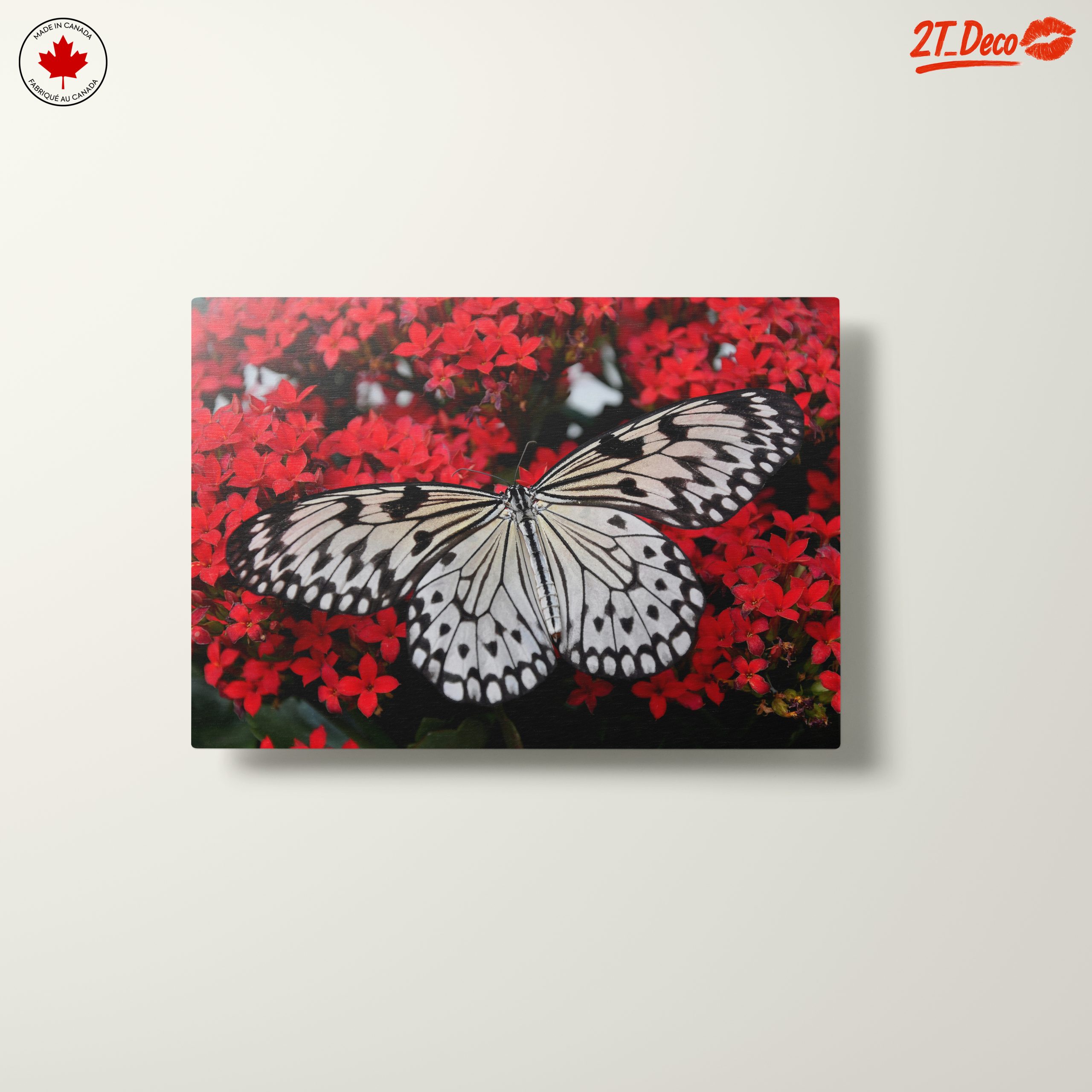 Stunning Butterfly on Vibrant Red Flowers - Image 10
