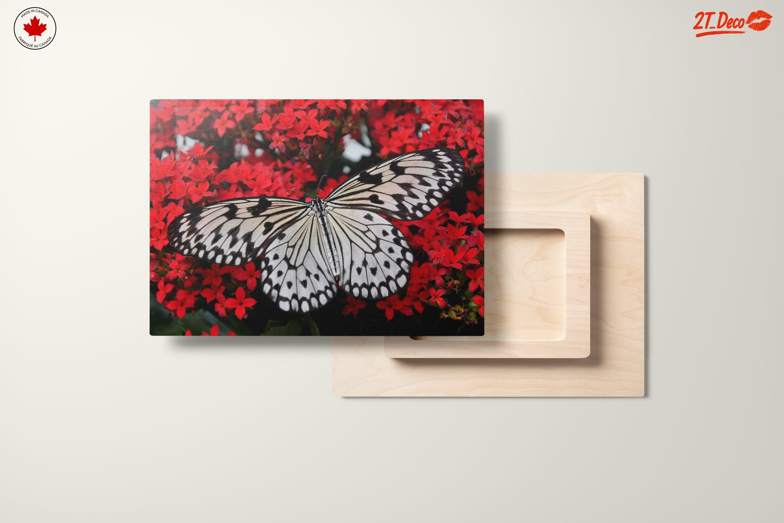 Stunning Butterfly on Vibrant Red Flowers - Image 11