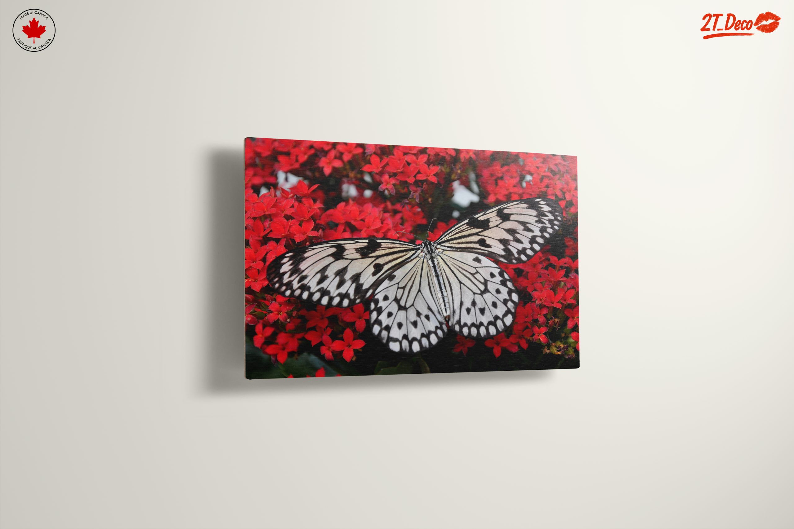 Stunning Butterfly on Vibrant Red Flowers - Image 13