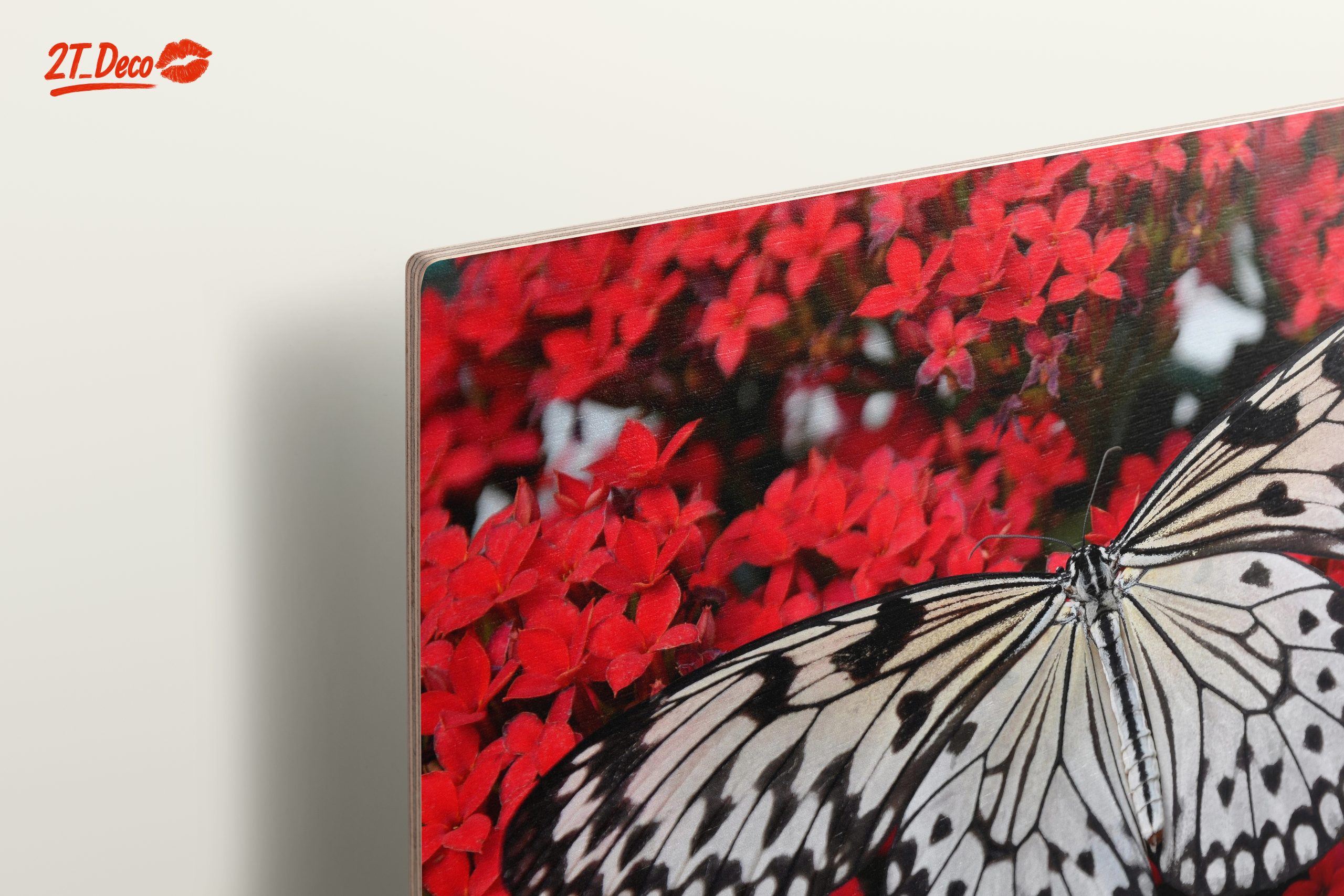 Stunning Butterfly on Vibrant Red Flowers - Image 15