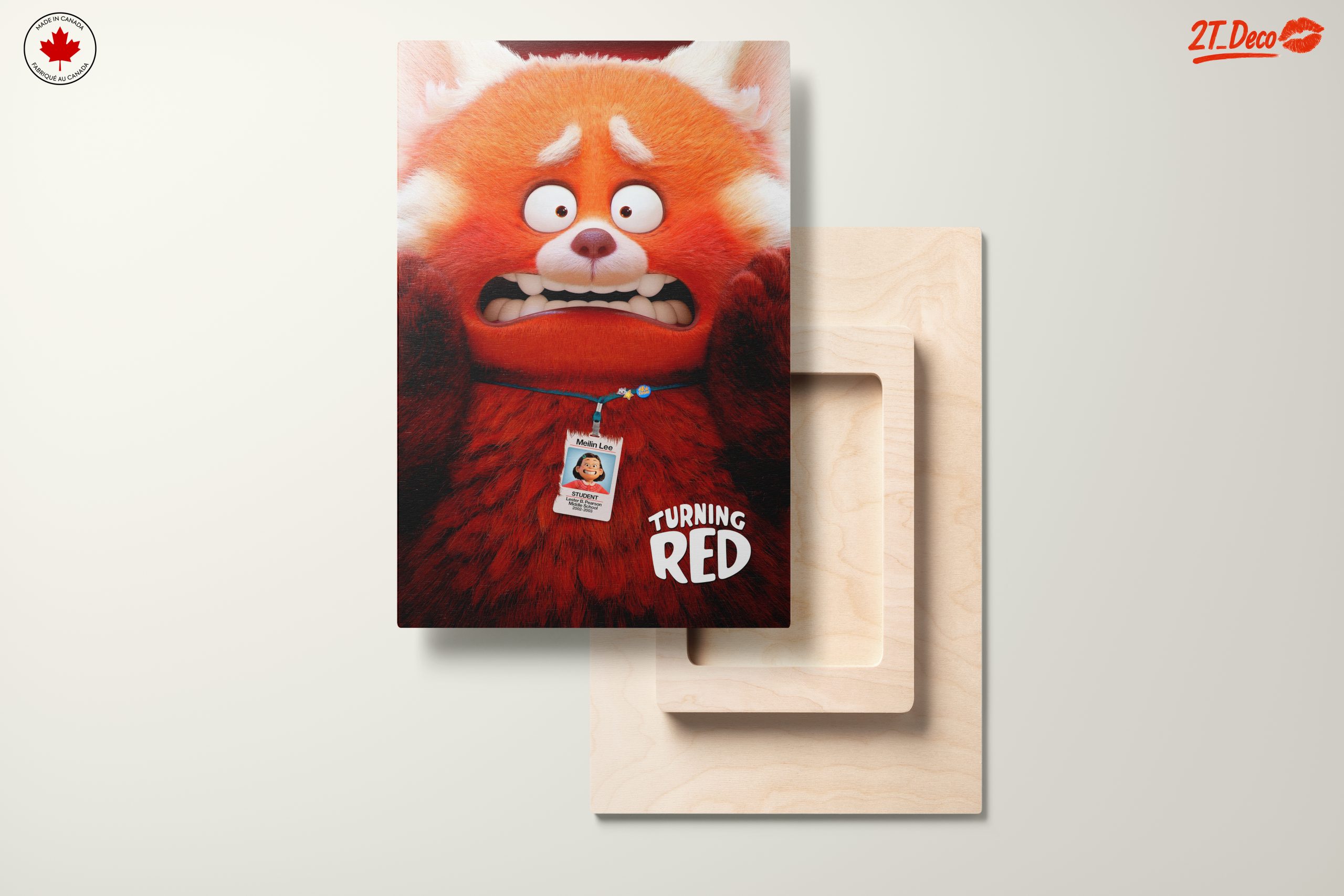 Meilin Lee from Turning Red Art - Image 11