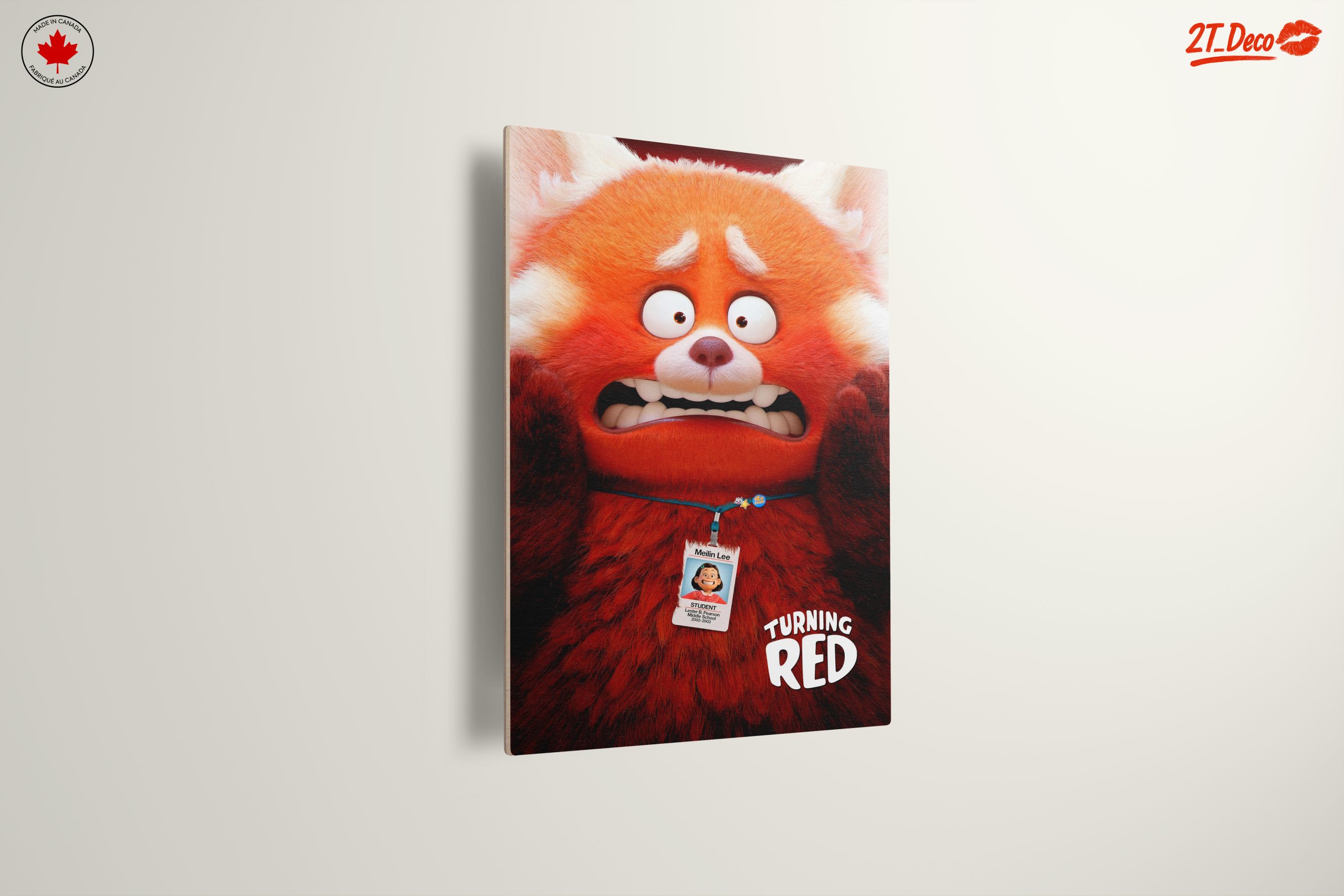 Meilin Lee from Turning Red Art - Image 13