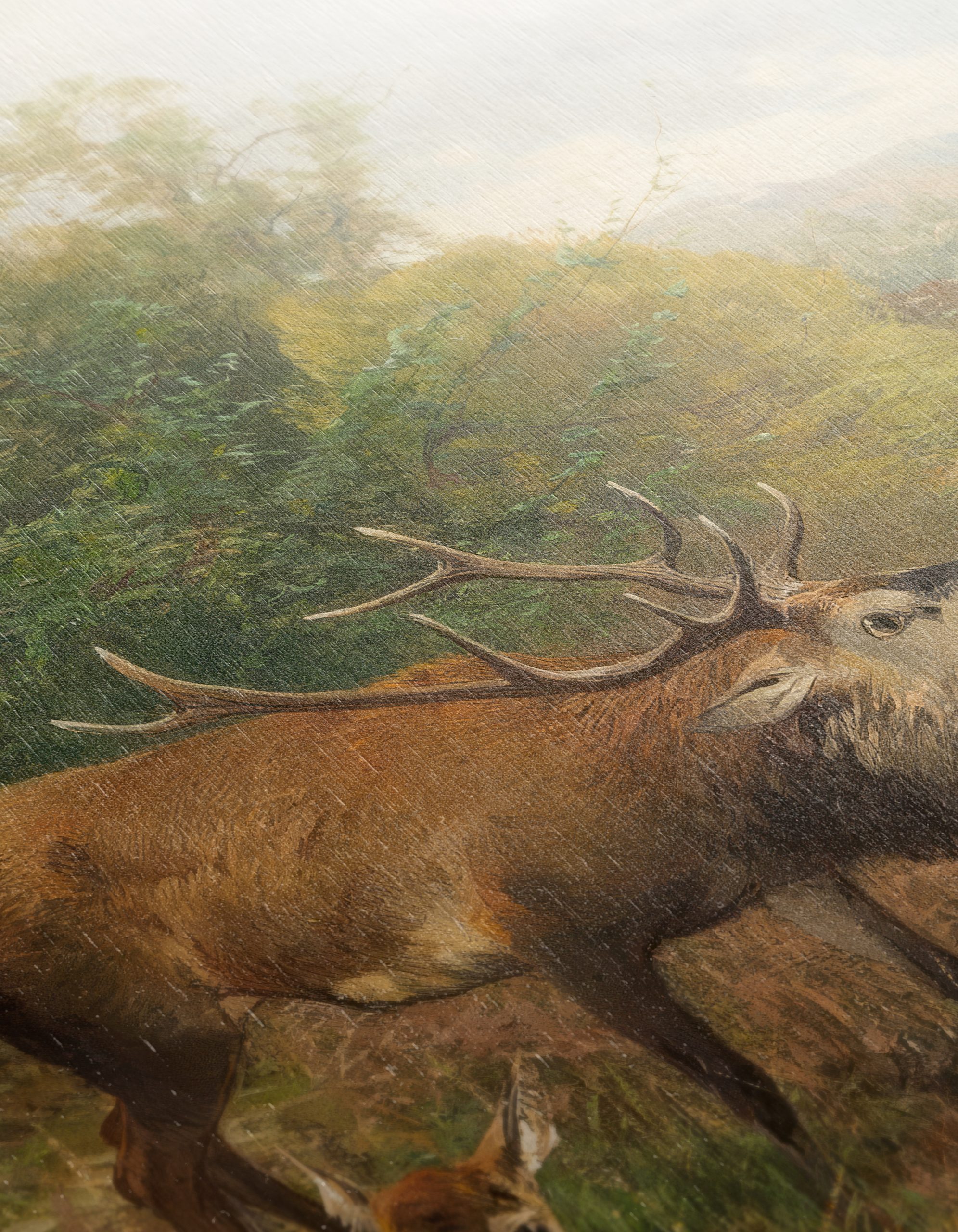 Deer In A Lush Forest Landscape - Image 12