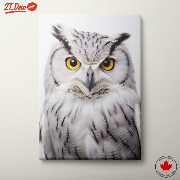 Stunning Owl Portrait